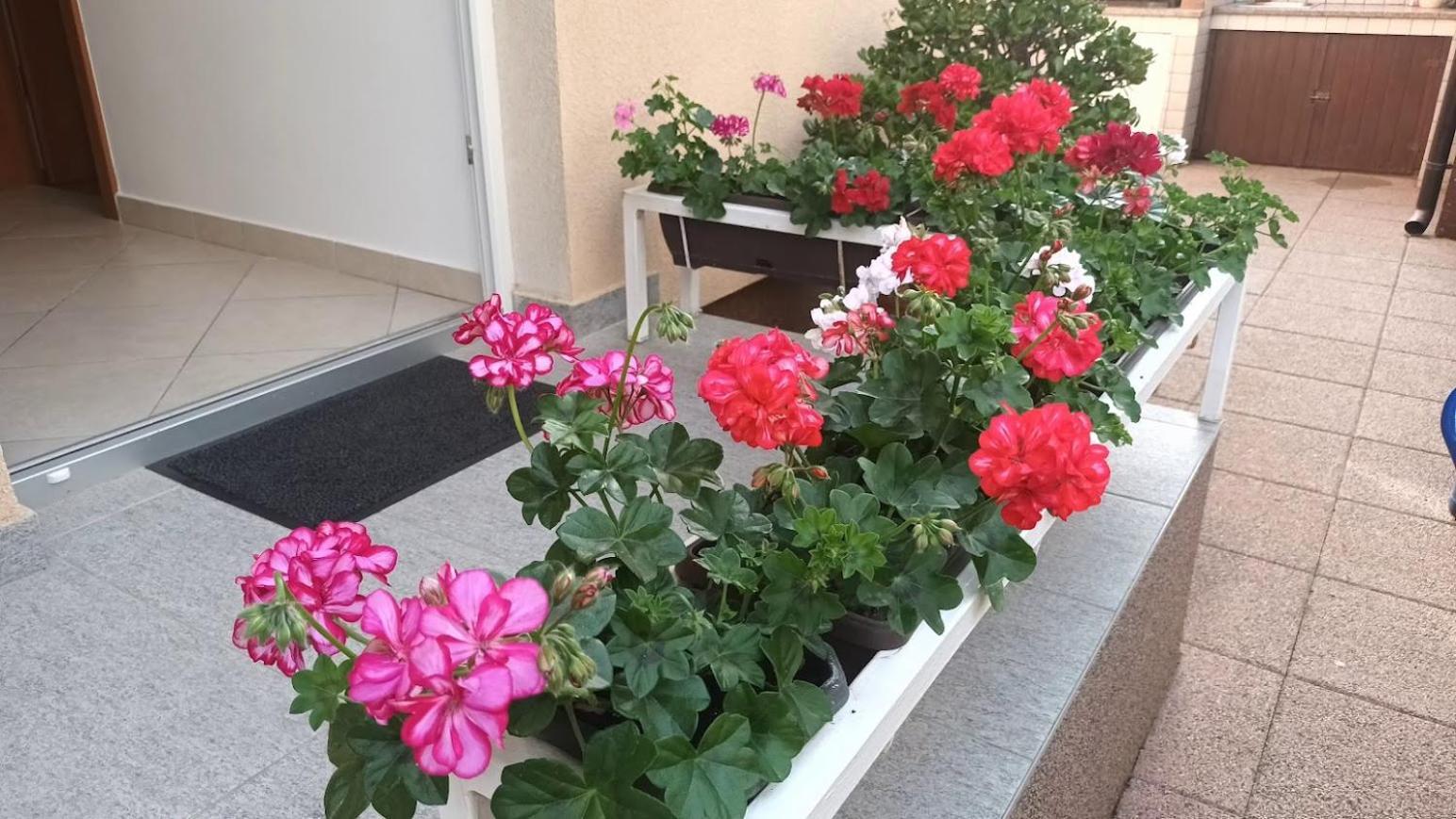 Apartment Marelja - Private Parking And Balcony Zadar Buitenkant foto